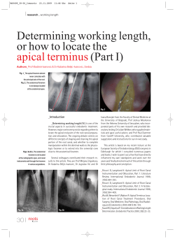 Determining working length, or how to locate the (Part I) apical terminus