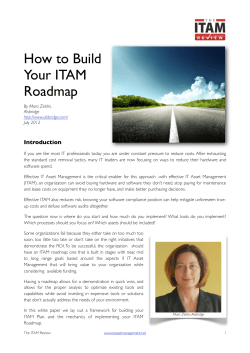 How to Build Your ITAM Roadmap Introduction