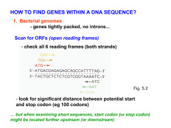 HOW TO FIND GENES WITHIN A DNA SEQUENCE?