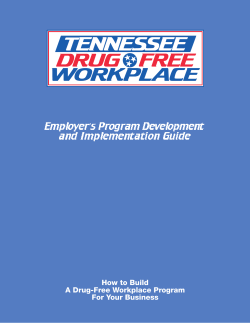 How to Build A Drug-Free Workplace Program For Your Business