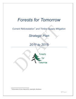 Forests for Tomorrow  Strategic Plan 2011 to 2015