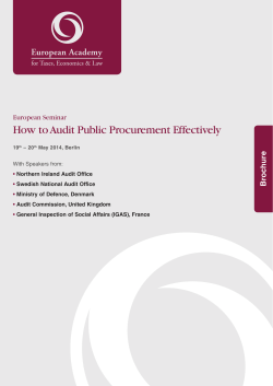 How to Audit Public Procurement Effectively hure oc Br