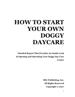 HOW TO START YOUR OWN DOGGY DAYCARE