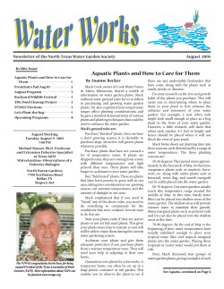 Aquatic Plants and How to Care for Them August, 2005