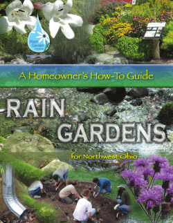 RAIN GARDENS A Homeowner’s How-To Guide for Northwest Ohio