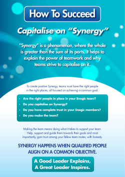 How To Succeed Capitalise on “Synergy” Enagic