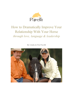 How to Dramatically Improve Your Relationship With Your Horse