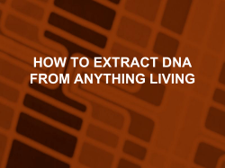 HOW TO EXTRACT DNA FROM ANYTHING LIVING
