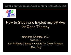 How to Study and Exploit microRNAs for Gene Therapy Bernhard Gentner, M.D.