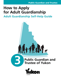 3 How to Apply for Adult Guardianship Public Guardian and