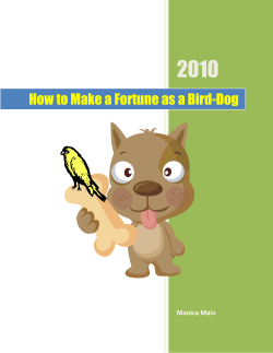 2010  How to Make a Fortune as a Bird-Dog Monica Main