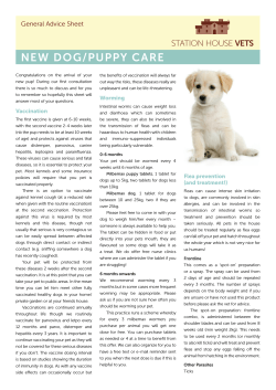 NEW DOG/PUPPY CARE STATION HOUSE VETS General Advice Sheet