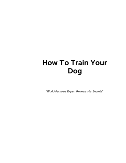 How To Train Your Dog “World-Famous Expert Reveals His Secrets”