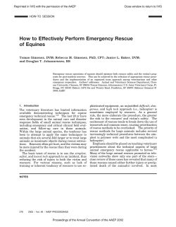 How to Effectively Perform Emergency Rescue of Equines