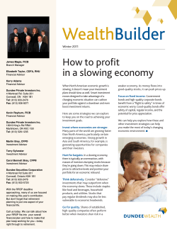 How to profit in a slowing economy Winter 2011