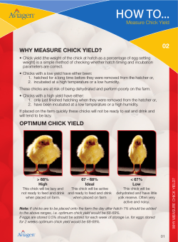 HOW TO... 02 WHY MEASURE CHICK YIELD? Measure Chick Yield