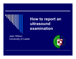 How to report an ultrasound examination Jean Wilson