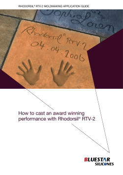 How to cast an award winning performance with Rhodorsil RTV-2 RHODORSIL