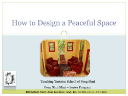 How to Design a Peaceful Space Director: