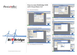 How to start BioBridge SDK with Visual Basic 6.0