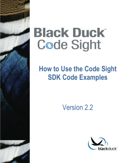 How to Use the Code Sight SDK Code Examples