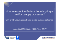 How to model the Surface boundary Layer and/or canopy processes?