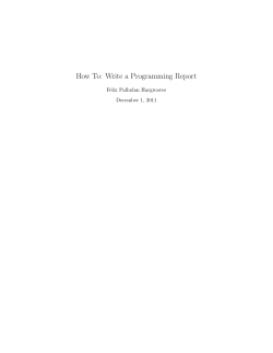 How To: Write a Programming Report Felix Palludan Hargreaves December 1, 2011