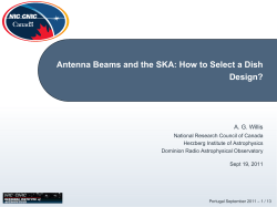 Antenna Beams and the SKA: How to Select a Dish Design?