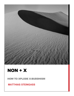 NON + X  MATTHIAS STEINGASS HOW TO XPLODE X-BUDDHISM