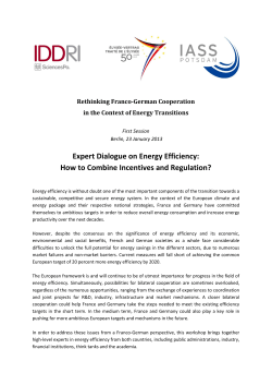 Expert Dialogue on Energy Efficiency: How to Combine Incentives and Regulation?