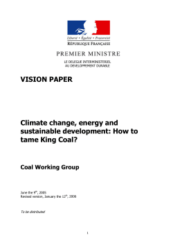 VISION PAPER  Climate change, energy and sustainable development: How to