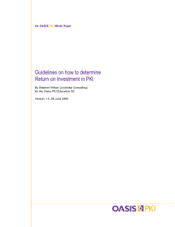 Guidelines on how to determine Return on Investment in PKI