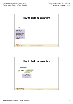 How to build an organism First published November 2009 Revised February 2011