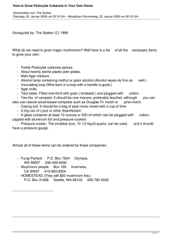 How to Grow Psilocybe Cubensis in Your Own Home
