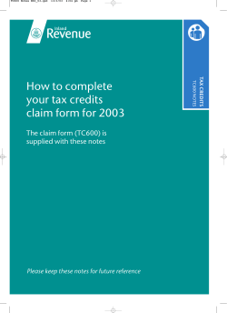 How to complete your tax credits claim form for 2003