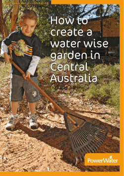How to create a water wise garden in