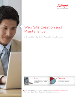 Web Site Creation and Maintenance Plan Execute