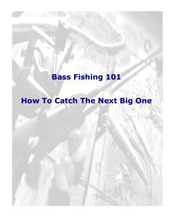 Bass Fishing 101  How To Catch The Next Big One