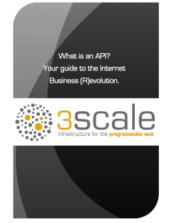 What is an API? Your guide to the Internet Business (R)evolution.