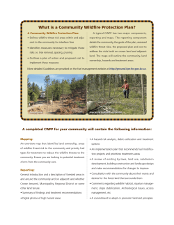 What is a Community Wildfire Protection Plan?