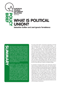 WHAT IS POLITICAL UNION? POLICY BRIEF