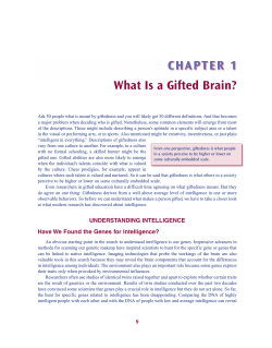 What Is a Gifted Brain?