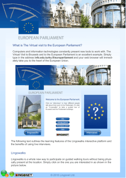 What is The Virtual visit to the European Parliament?