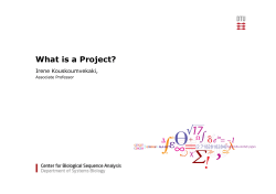 What is a Project? Irene Kouskoumvekaki, Associate Professor