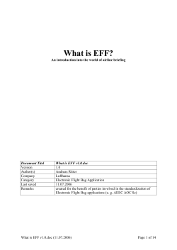 What is EFF?