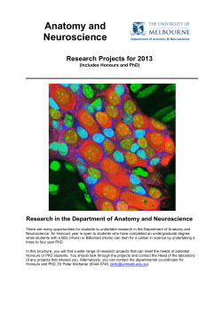 Anatomy and Neuroscience Research Projects for 2013