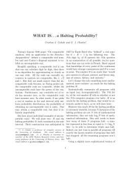 WHAT IS. . . a Halting Probability?