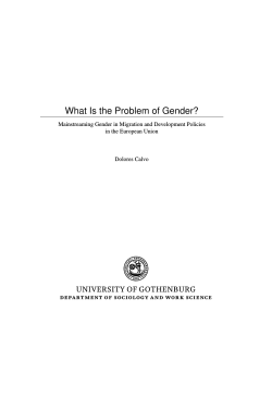 What Is the Problem of Gender?  in the European Union