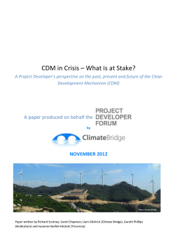 CDM in Crisis – What is at Stake?