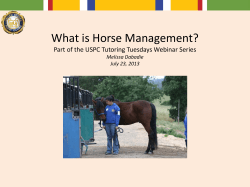 What is Horse Management? Melissa Dabadie July 23, 2013
